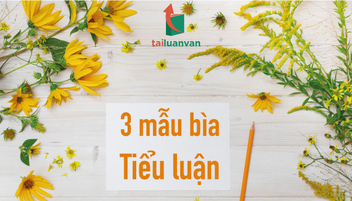 Tiểu Luận Thực Trạng Tình Hình Tài Chính  Điểm Cao